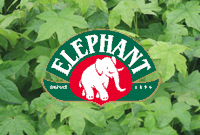 C'est l'histoire d'une pépinière de renom, d'un éléphant, et ...