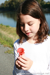 laissons pousser les fleurs dans nos villes et nos campagnes