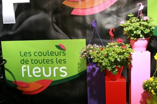 les-couleurs-de-toutes-les-fleurs