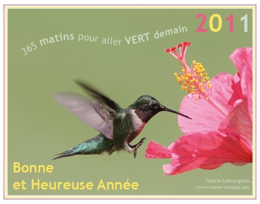 Bonne et Heureuse Année 2011 vert demain