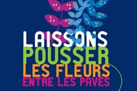 Laissons pousser les fleurs sauvages